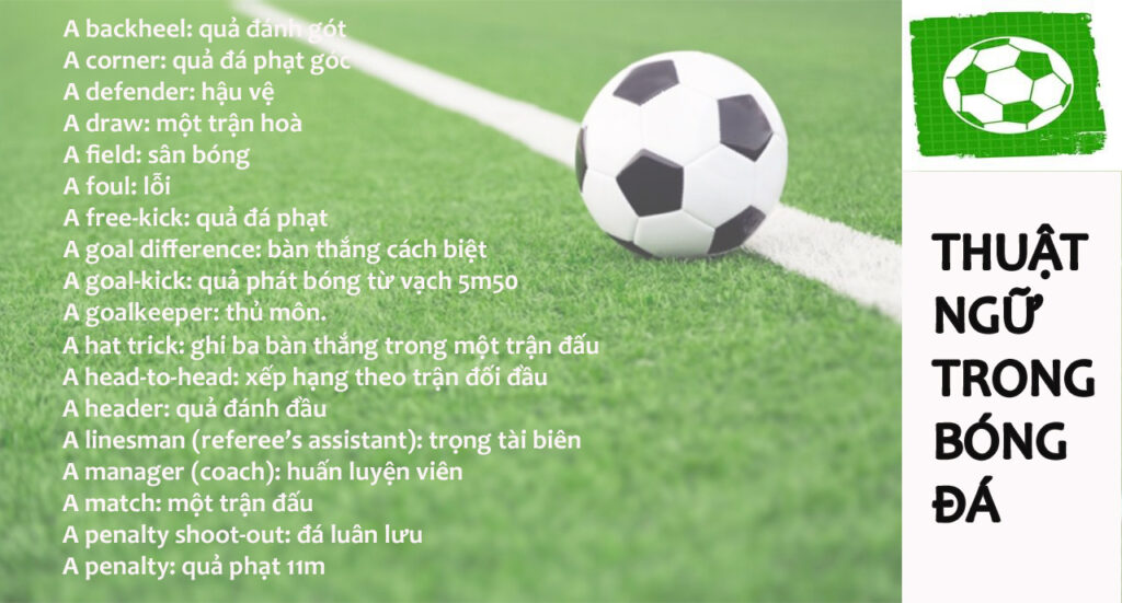 thuật ngữ